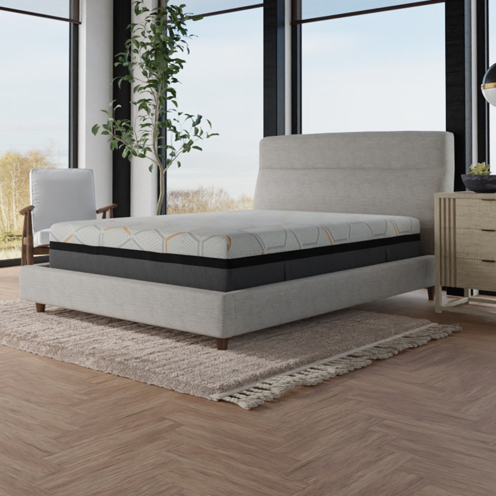 Bed with a mattress in a room with large windows and a plant.