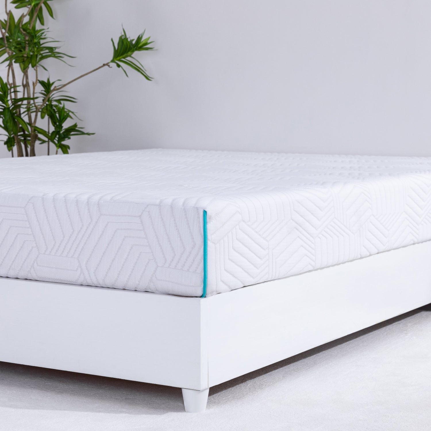 White queen size mattress with a textured cover on a bed frame, with a plant in the background.