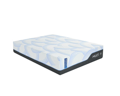 WellFlex ICE Memory Foam Mattress 14"