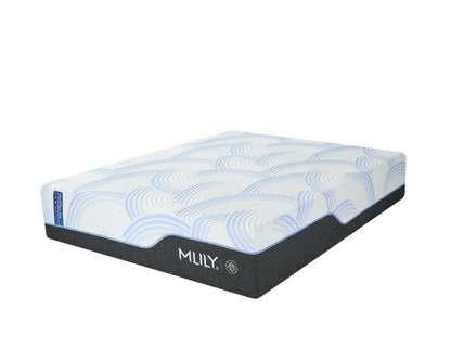 WellFlex ICE Memory Foam Mattress 14"