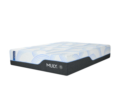 WellFlex ICE Memory Foam Mattress 14"