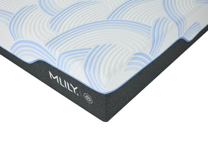 WellFlex ICE Memory Foam Mattress 14"