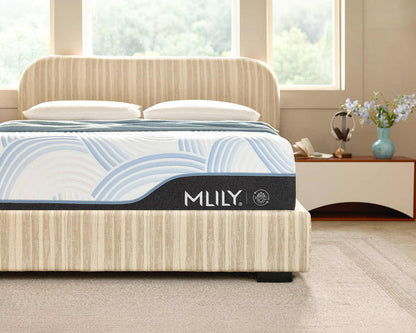 WellFlex ICE Memory Foam Mattress 14"
