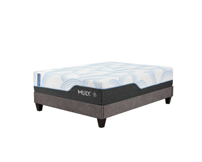 WellFlex ICE Memory Foam Mattress 14"